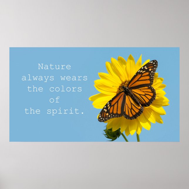 Färg of Spirit Poster (Framsidan)