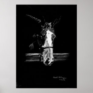 Färg på Black Horse Porträtt Poster