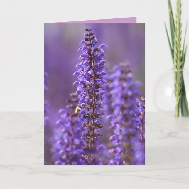 Färg på sommarkort för tom hälsning kort (Framsida)