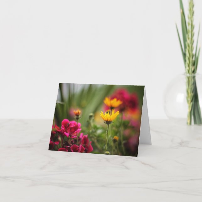 Färg på sommarkort kort (Framsida)