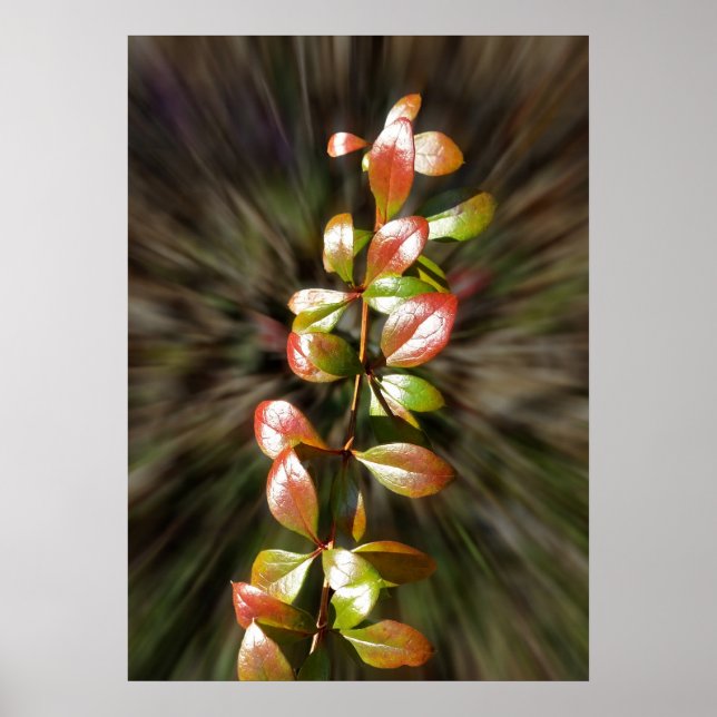 Färg på twig poster (Framsidan)