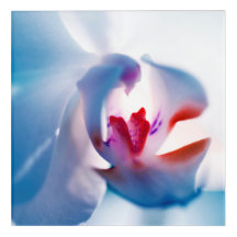 Färg-poppens oäkta akrylväggkonst