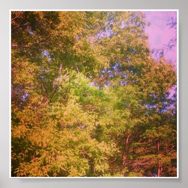 Färg Poster (Framsidan)