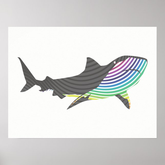 Färg Shark Swirl Poster (Framsidan)