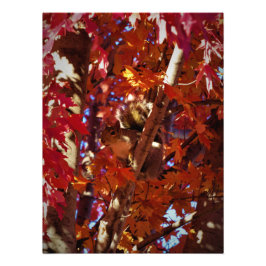 "Färg-spridd kritiker" Fototryck