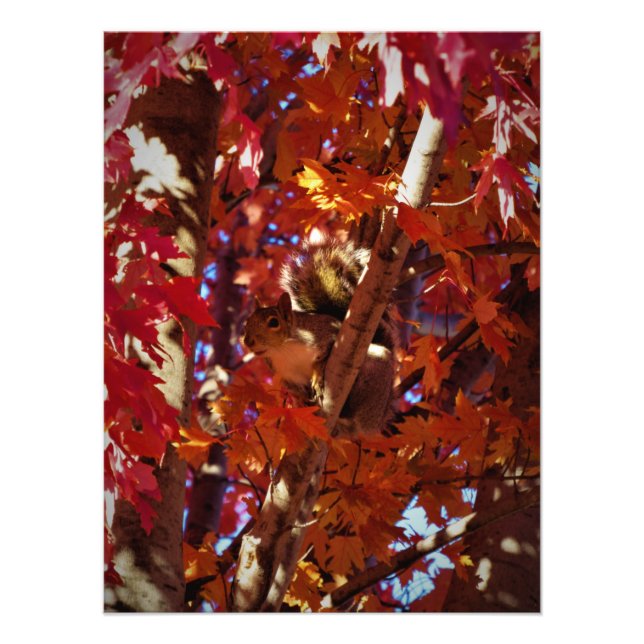 "Färg-spridd kritiker" Fototryck (Framsidan)