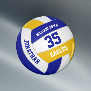 färg-teamet i den blå skolan i guld ger volleyball magnet