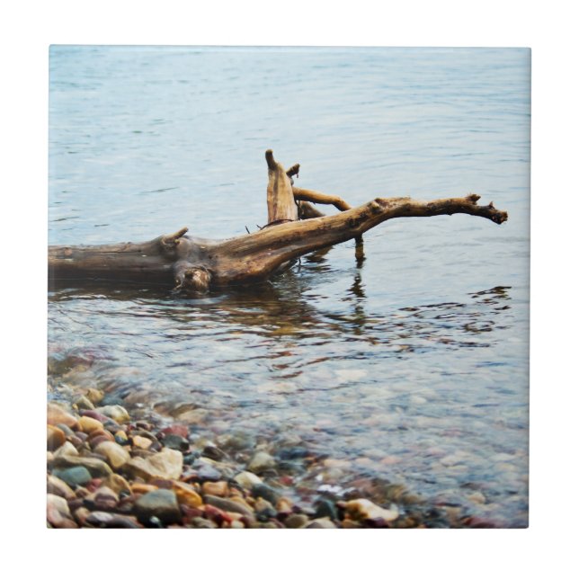 Färg Tile Kakelplatta (Framsidan)