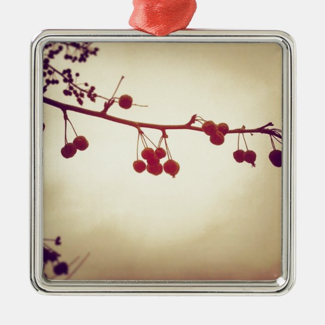 Färg under en drömvinterdag julgransprydnad metall (Framsidan)