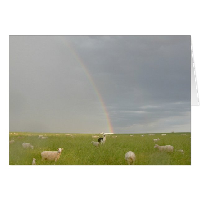 Färg-vaktkort Hälsningskort (Framsidan Horizontal)