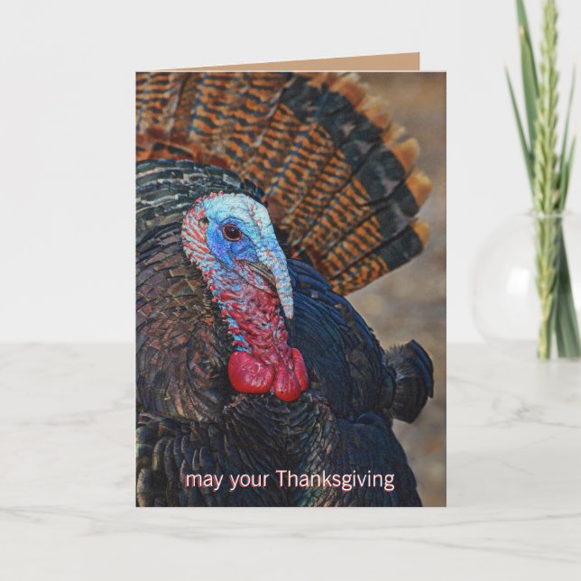 Färg Vild Turkiet Thanksgiving Cute Unik Helgkort (Framsida)