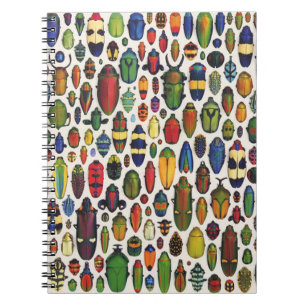 Färg Vintage Illustrerade Beetles Anteckningsbok