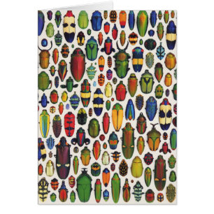 Färg Vintage Illustrerade Beetles Hälsningskort