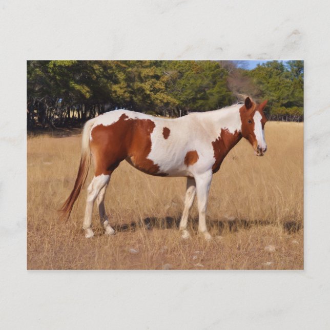 Färg Vykort (Framsida)