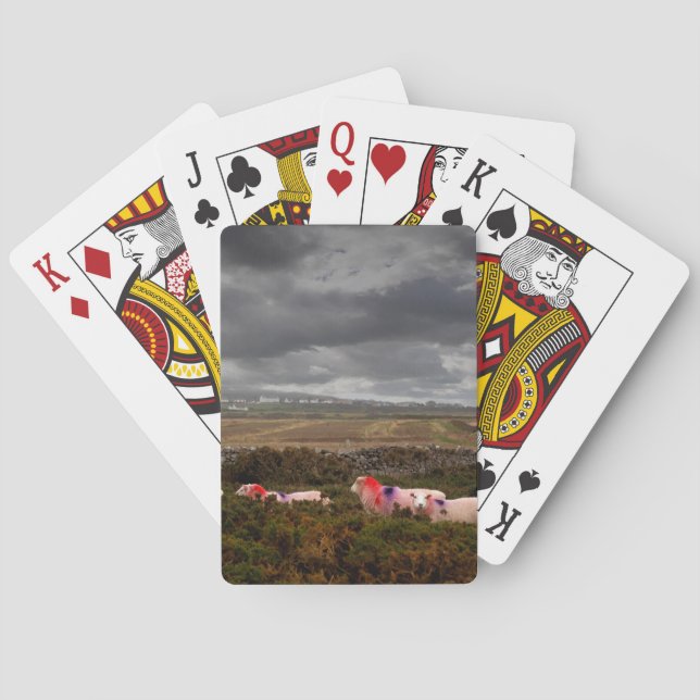Färga får casinokort (Baksidan)