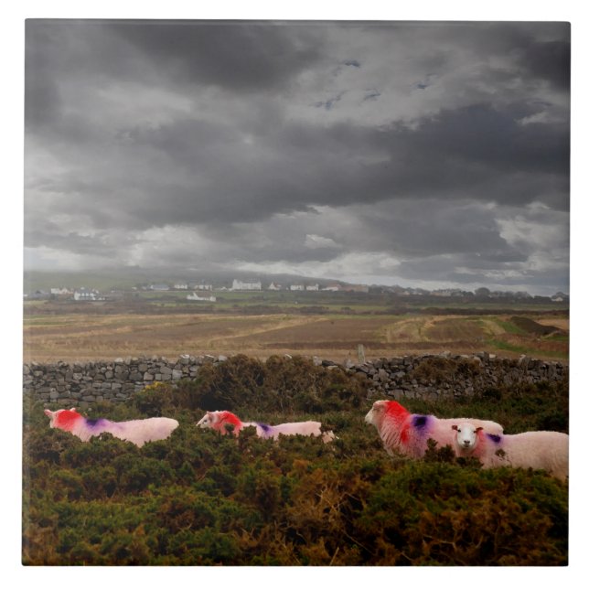 Färga får kakelplatta (Framsidan)