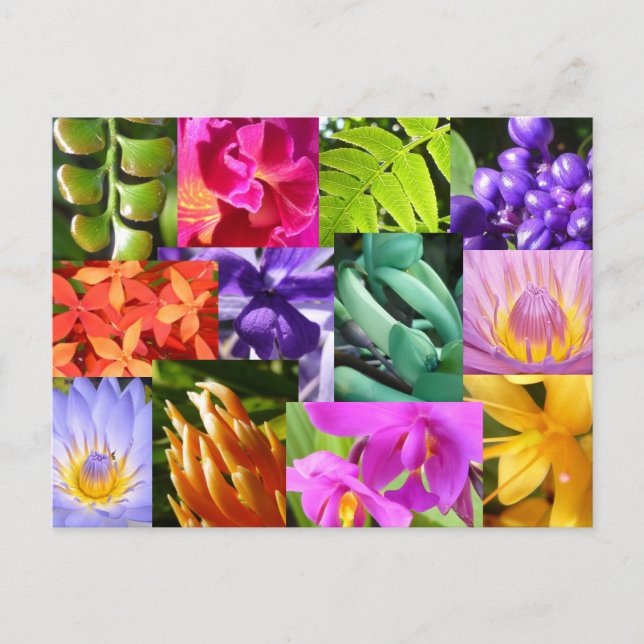 Färga mig som är lycklig vykort (Framsida)