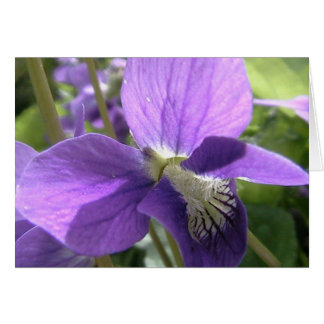 färga min soul hälsningskort