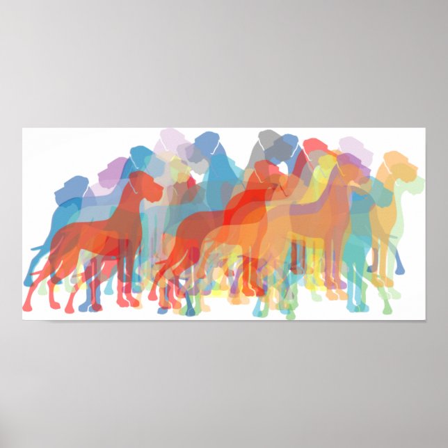 Färgad Danes Poster (Framsidan)