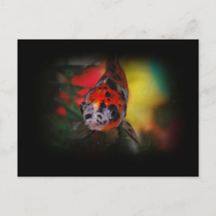 Färgad Goldfish-vykort Vykort