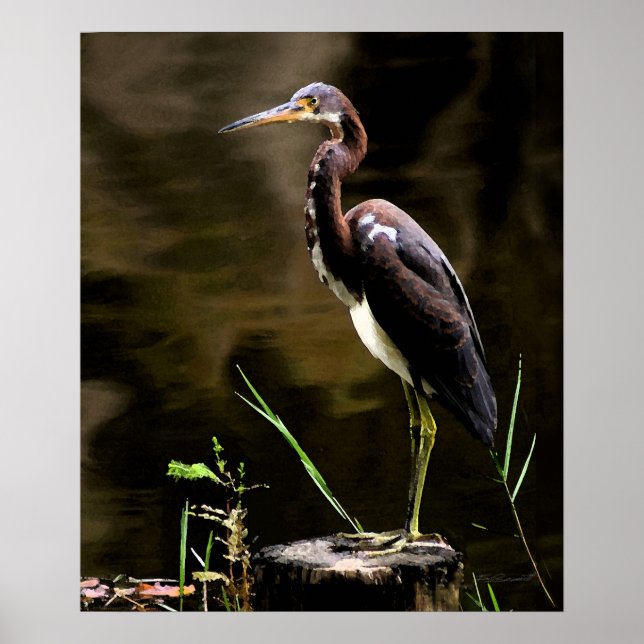 Färgad Heron-utskrift - 20 x 24 - andra storlekar  Poster (Framsidan)