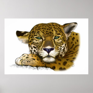 Färgad jaguar poster