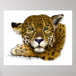 Färgad jaguar poster