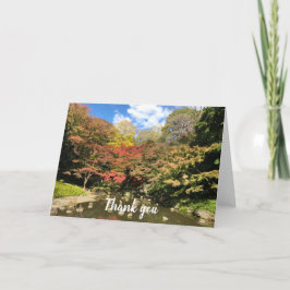 Färgad Maple Träd by Pond Kort