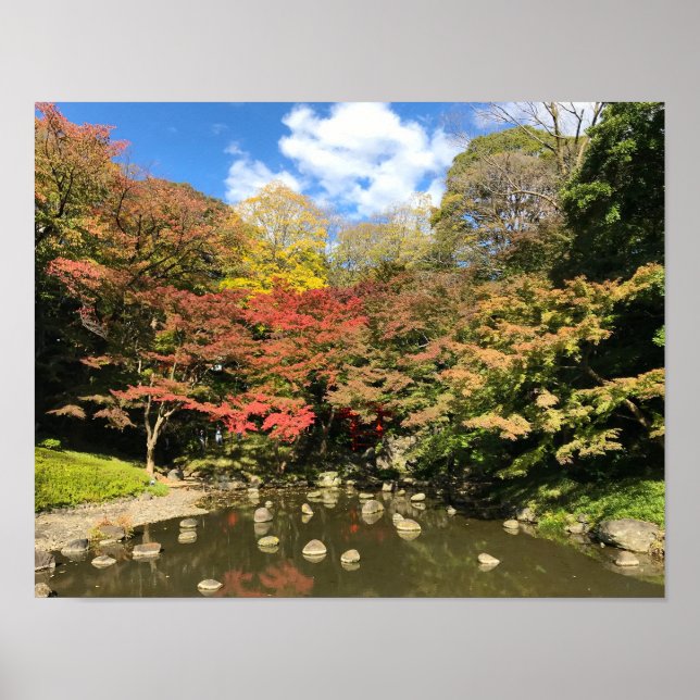 Färgad Maple Träd by Pond Poster (Framsidan)