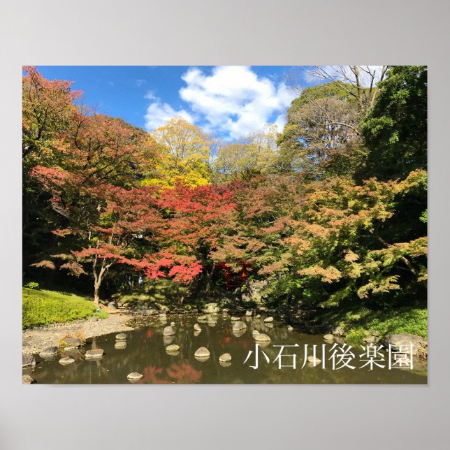 Färgad Maple Träd by Pond Poster (Framsidan)