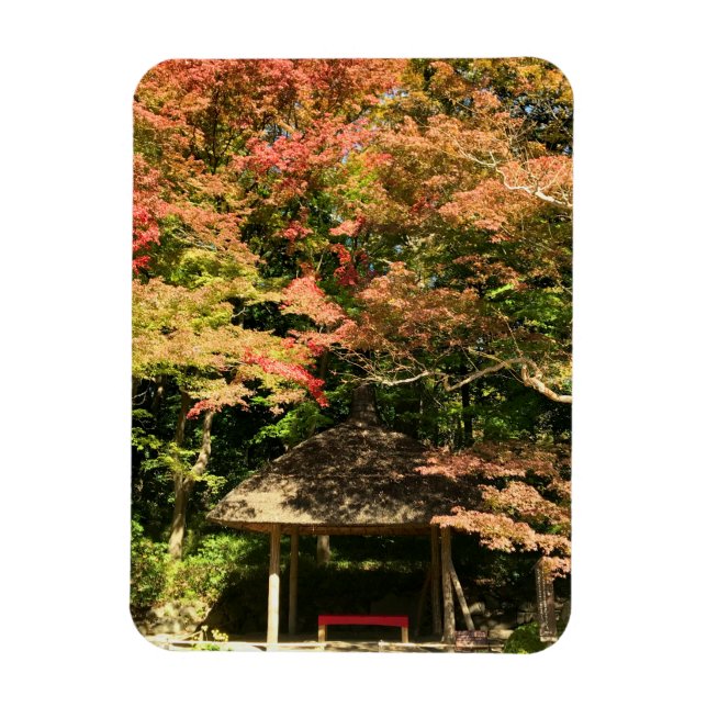 Färgad Maple Träd och Rest House Magnet (Vertikal)