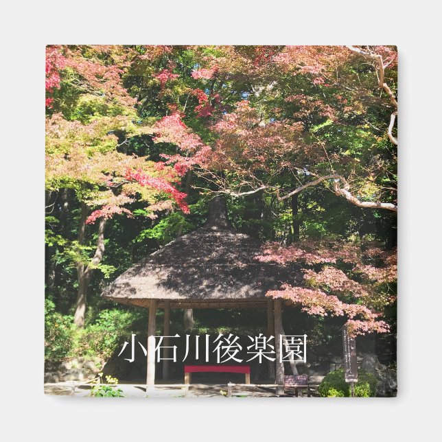 Färgad Maple Träd och Rest House Magnet (Framsidan)