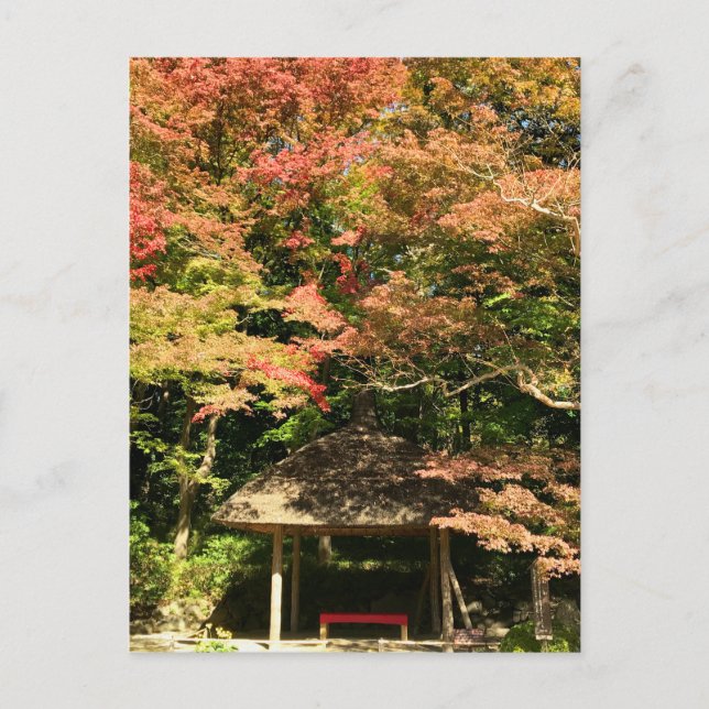 Färgad Maple Träd och Rest House Vykort (Framsida)