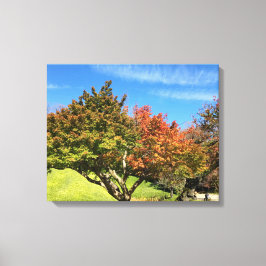 Färgad Maple Träd under hösten Canvastryck