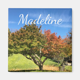 Färgad Maple Träd under hösten Magnet