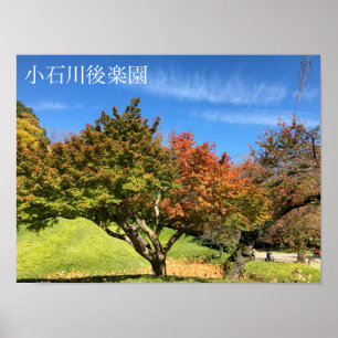 Färgad Maple Träd under hösten Poster