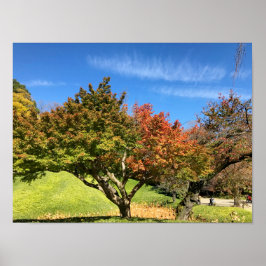 Färgad Maple Träd under hösten Poster