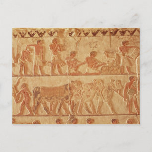Färgad relief vykort