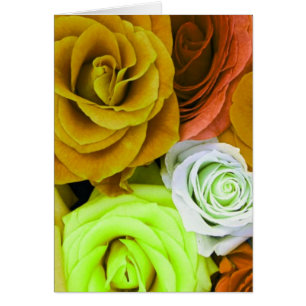 Färgad Ro Hälsningskort