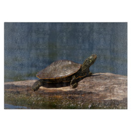 Färgad sköldpadda i en logg