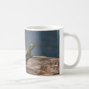 Färgad sköldpadda i en logg kaffemugg