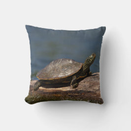 Färgad sköldpadda i en logg kudde