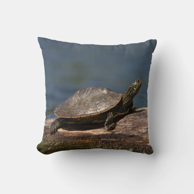 Färgad sköldpadda i en logg kudde (Framsida)