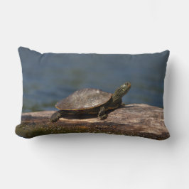 Färgad sköldpadda i en logg lumbarkudde