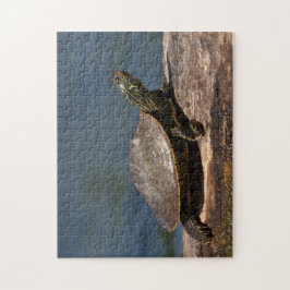 Färgad sköldpadda i en logg pussel