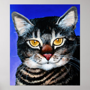 Färgad Tjock Katt Poster