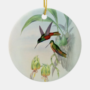 Färgade Bonapartes stjärna beklädde Hummingbird Julgransprydnad Keramik