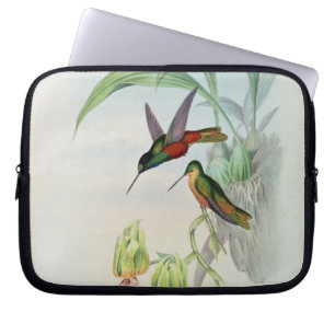 Färgade Bonapartes stjärna beklädde Hummingbird Laptop Sleeve