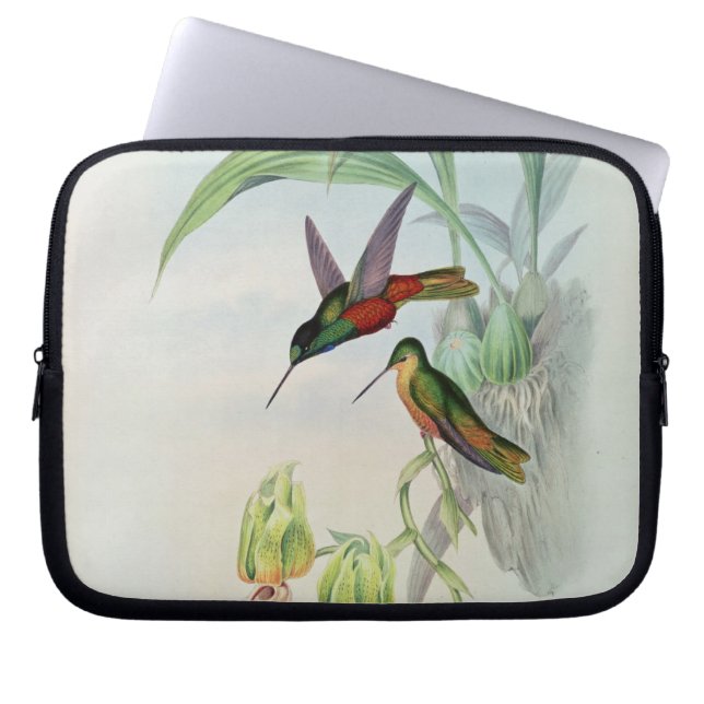 Färgade Bonapartes stjärna beklädde Hummingbird Laptop Sleeve (Framsidan)