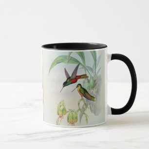 Färgade Bonapartes stjärna beklädde Hummingbird Mugg